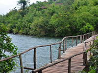 River Turn Lodge Bhadra